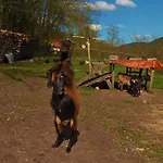 La La Fesnel Отель типа 