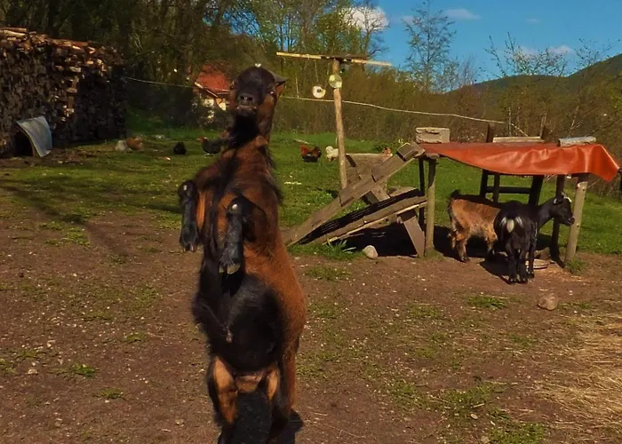 La La Fesnel Bed & Breakfast